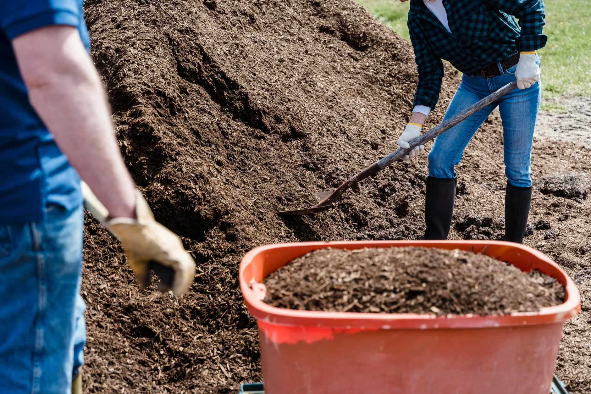 Sommerliches Gemüsebeet mit schnell wachsenden Kulturen und Mulchschicht